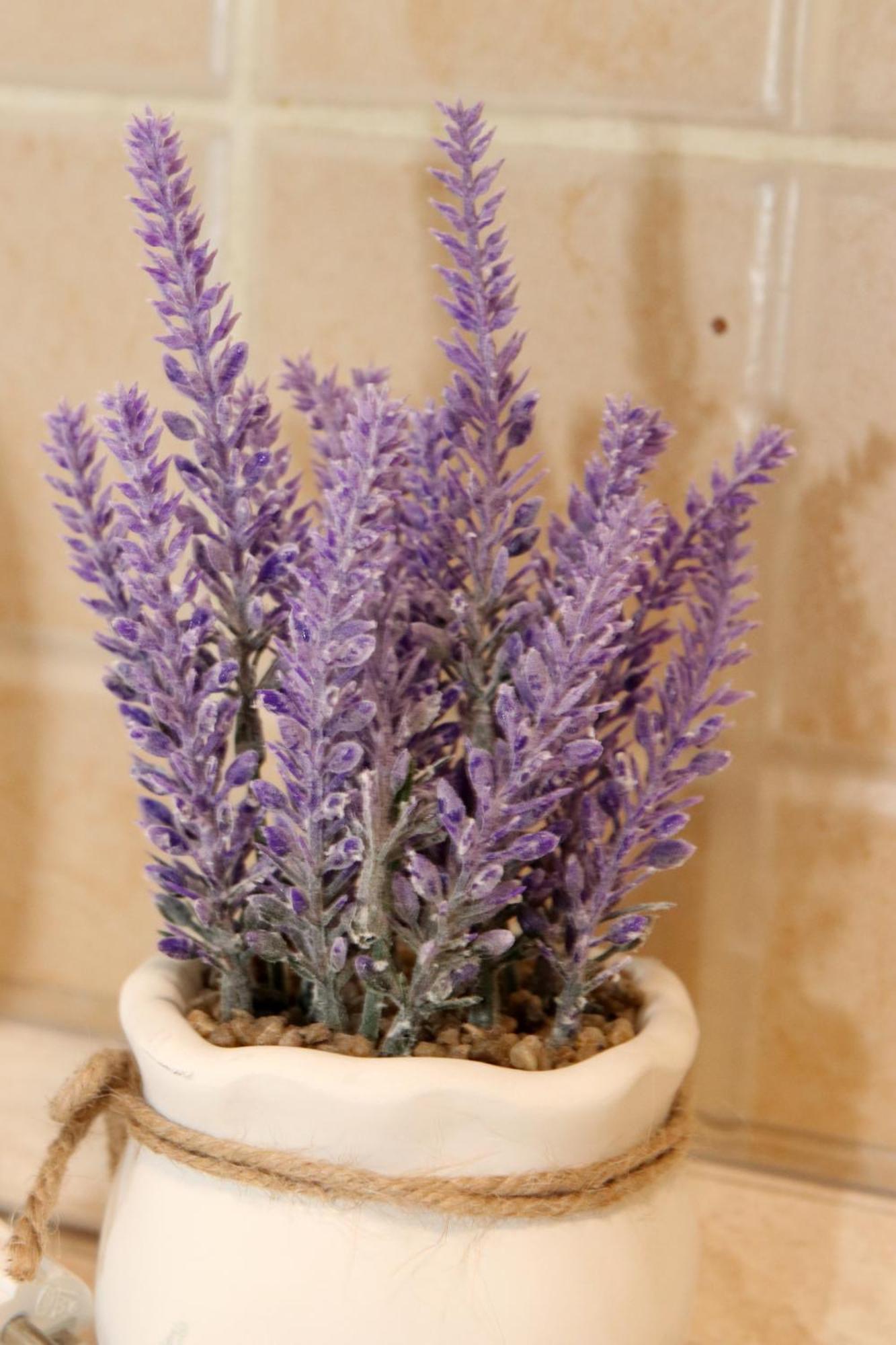 Tulipan Apartman Gödöllő Extérieur photo